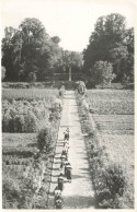 FRANCE - Arcis Le Ponsart - Abbaye De Notre Dame D'Igny - Retour Du Travail - Carte Postale - Autres & Non Classés