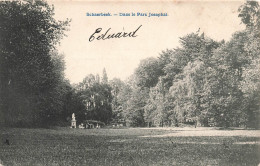 BELGIQUE - Bruxelles - Schaerbeek - Dans Le Parc Josaphat - Carte Postale Ancienne - Schaarbeek - Schaerbeek