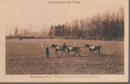 GONDRECOURT LE CHATEAU - ELEVAGE DE CHEVAUX - Gondrecourt Le Chateau