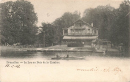 BELGIQUE - Bruxelles - Le Lac Au Bois De La Cambre - Carte Postale Ancienne - Andere & Zonder Classificatie