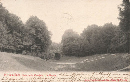 BELGIQUE - Bruxelles - Bois De La Cambre - Le Ravin - Carte Postale Ancienne - Autres & Non Classés