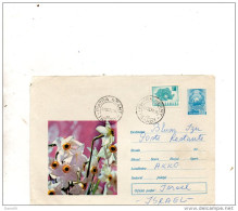 LETTERA - Storia Postale