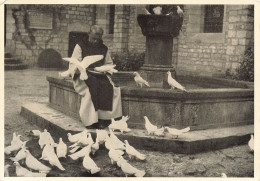 BELGIQUE - Luxembourg Belge - Abbaye D'Orval - Carte Postale - Autres & Non Classés