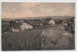 Denens Sur Morges Vignes Vigneron Avec Une Hotte - Morges