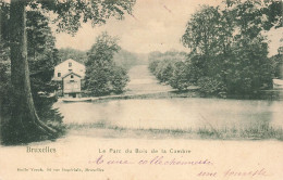 BELGIQUE - Bruxelles - Le Parc Du Bois De La Cambre - Carte Postale Ancienne - Andere & Zonder Classificatie