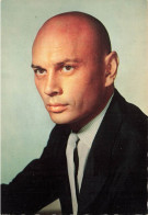 CELEBRITE - Artiste - Yul Brynner - Carte Postale Ancienne - Artiesten