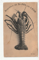 SAINT POL DE LEON - SOUVENIR - HOMARD - 29 - Saint-Pol-de-Léon