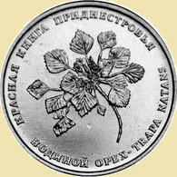 Moldova-Transnistria 1 Ruble 2019, Water Caltrop Plant, KM#New, Unc - Moldova