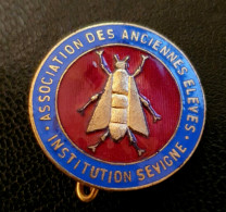 Rare Broche Ancienne école Institution Sévigné à Granville (Manche) "Association Des Anciennes Elèves" Abeille - Broches