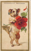 Chromo Calendrier 6 Mois 1889 Du Chocolat Devinck Petit Chien Dressé Et Fleur Rouge - Formato Piccolo : ...-1900