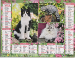 CALENDRIER ANNEE 2022, COMPLET, MULTIVUE, CHATONS COULEUR REF 13887 - Grand Format : 2001-...