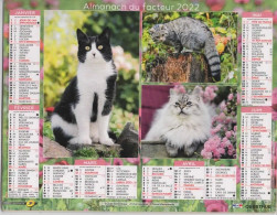 CALENDRIER ANNEE 2022, COMPLET, MULTIVUE, CHATONS COULEUR REF 13887 - Grossformat : 2001-...
