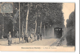 CPA 77 Donnemarie En Montois La Gare Et Le Train Tramway - Donnemarie Dontilly