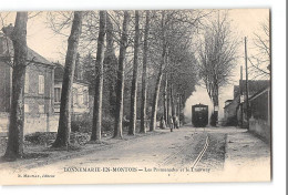 CPA 77 Donnemarie En Montois Les Promenades Et Le Train Tramway - Donnemarie Dontilly