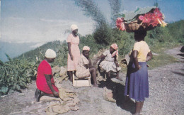 20. Jamaicans Marketing Produce By The Roadside, Jamaica, B.W.I PRINTED In ENGLAND By MARDON SON & HALL LTD BRISTOL - Giamaica