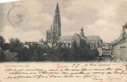 BELGIQUE - Anvers - Cathédrale Et Place Verte - Carte Postale Ancienne - Antwerpen