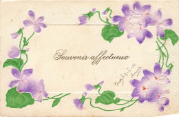 FLEURS, PLANTES & ARBRES - Souvenir Affectueux - Fleurs - Carte Postale Ancienne - Blumen