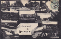 Suisse - Souvenir De Bellevue - Bellevue