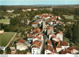 MONTHUREUX SUR SAONE VUE GENERALE AERIENNE - Monthureux Sur Saone