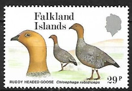 Falkland - MNH ** 1988 :   Ruddy-headed Goose    Chloephaga Rubidiceps - Oies