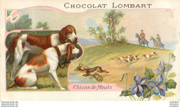 CHROMO  CHOCOLAT LOMBART CHIENS DE MEUTE - Lombart