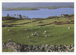 AK 194230 IRELAND - County Galway - Lough Corrib - Galway