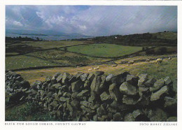 AK 194233 IRELAND - County Galway - Blick Zum Lough Corrib - Galway