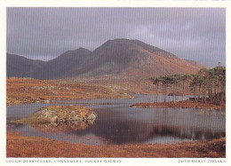 AK 194237 IRELAND - County Galway - Connemara - Lough Derryclare - Galway