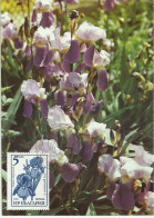 Carte Maximum - Fleurs - Bulgarie - Orquideas - Orchidées - Orchids - Covers & Documents