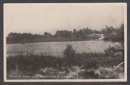 108782/ DWINGELOO, Meertje Bij Kipeloo, In De Staatsbosschen - Dwingeloo