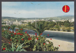 127387/ AGADIR, Panorama Vu De L'Hôtel Salam - Agadir