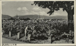 41580017 Edenkoben Weinreben Blick Zur Stadt Edenkoben - Edenkoben