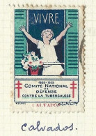 Timbre   France- - Croix Rouge  -  Erinnophilie  - ComIte National De Defense Contre La Tuberculose - 1928 - Calvados - Antituberculeux