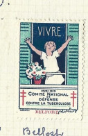 Timbre   France- - Croix Rouge  -  Erinnophilie  - ComIte National De Defense Contre La Tuberculose - 1928 - Belfort - Antituberculeux