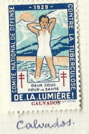 Timbre   France- - Croix Rouge  -  Erinnophilie  - ComIte National De Defense  La Tuberculose - 1929 - Calvados - Antituberculeux
