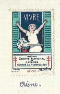 Timbre   France- - Croix Rouge  -  Erinnophilie  - ComIte National De Defense  La Tuberculose - 1929 - Aisne - Antituberculeux