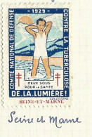 Timbre   France- - Croix Rouge  -  Erinnophilie  - ComIte National De Defense  La Tuberculose - 1929 -  Seine Et Marne - Antituberculeux