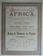 S.A. Africa - Action De Dividende  Au Porteur - 1899 !! - Anvers - Afrika
