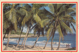 CARTOLINA  SAN PEDRO DE MACORIS,REP.DOMENICANA-PLAYA CARIBE "BEACH"-VIAGGIATA 1992 - Dominica