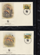 SOMALIA  436-439, 4 FDC, WWF, Weltweiter Naturschutz: Gefährdete Wildtiere, 1992 - Somalie (1960-...)