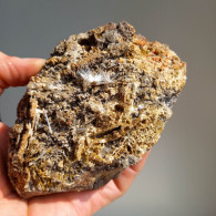 #BRA5.06 RARISSIMO GESSO In Sottili Cristalli Trasparenti (Brosso Mine, Torino, Piemonte, Italia) - Mineralen