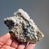 #BRA5.08 RARO GESSO Cristalli In Ciuffi (Brosso Mine, Torino, Piemonte, Italia) - Minerali