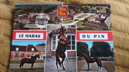 CPSM CHEVAL CHEVAUX LE HARAS DU PIN ORNE ED ARTAUD AS BLASON NORMANDIE MULTI VUES - Chevaux