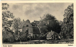 Oude Spijker - Hattem