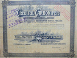 S.A. Creditul Carbonifer -act.la Purtator De 12500 Lei - Mines