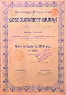 Charbonnages Mines Et Us. Gossoudarieff-Bairak - 1899 - Bruxelles - Mines