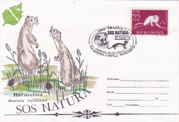 HERMELINA,MUSTEIA HERMINEA,ERMINE,SPECIAL COVER AND PMK RARE 1995, ROMANIA - Rongeurs