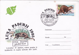 BADGER,SPECIAL COVER AND PMK RARE 1995, ROMANIA - Roditori