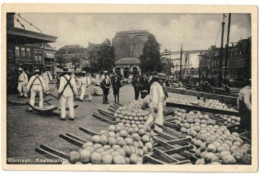 Kaasmarkt - Alkmaar