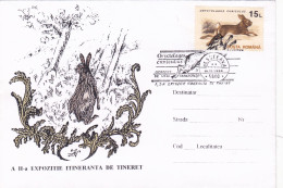 RABBIT,SPECIAL COVER AND PMK RARE 1994, ROMANIA - Conejos